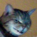 Manchita2802's Avatar'