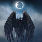 NojusK's Avatar'