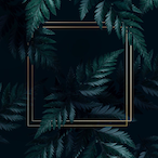 Eyes_n_Berg's Avatar'