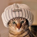 Buck2Quick's Avatar'