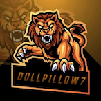DullPillow7's Avatar'