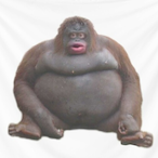 jakeette_'s Avatar'