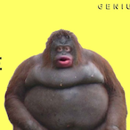 kingkong10101's Avatar'