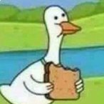 davidthedawg24's Avatar'