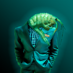 THE-ECO-ACER's Avatar'