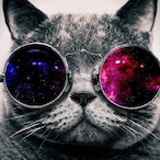 Champu_luminoso's Avatar'