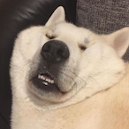 FrjngeTTV's Avatar'