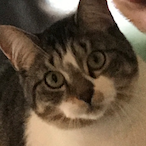 Mr-Squibbles's Avatar'