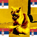 VuleKinder's Avatar'