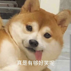 R6FastestLegend's Avatar'