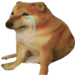 King_Juliien's Avatar'