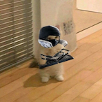 Oycj77's Avatar'