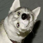 Eljerowinchestr's Avatar'