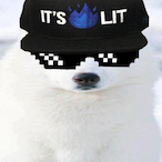 c4lii's Avatar'
