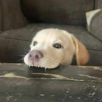 itsaglassdoor's Avatar'