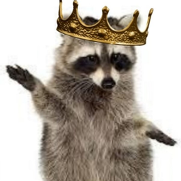 Raccooon_King