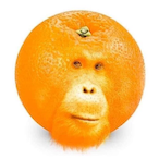 LeCrunchHames's Avatar'