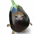 ItsMagma54's Avatar'