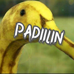 Padiilin's Avatar'
