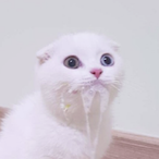 LaggerTheJK's Avatar'