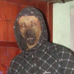 Ein_Julius's Avatar'