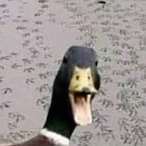 Pizza.Parker.-'s Avatar