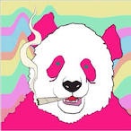Anx1etyPanda's Avatar'