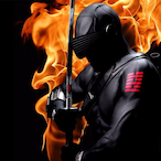 R0ller D0g's Avatar'