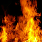 Amortensenkat's Avatar