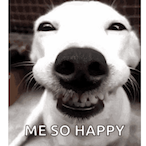 Happy_Jones's Avatar'