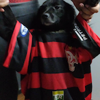 brendinhaCereja's Avatar'