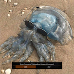 HallowedHessian's Avatar'