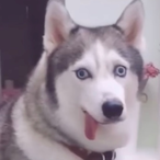 Danny20451's Avatar'