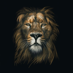 Strayy01's Avatar'