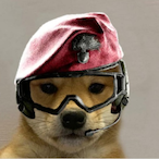 gooopii's Avatar'