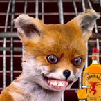 ULTIMATBLYATMAN's Avatar