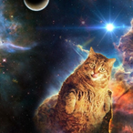 ExpertxShot01's Avatar