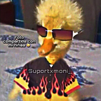 Pablitoouuu's Avatar'