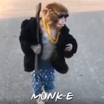 NotKong's Avatar'