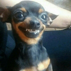 EitoGaranhao's Avatar'