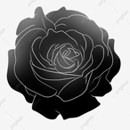 R0SA.1's Avatar'