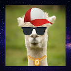 Lhamaasz's Avatar'