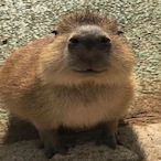 D3ADP00L2420's Avatar'