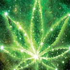 EBG4LIFE's Avatar'