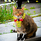 Mckenz1432's Avatar'