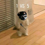 wenjisama's Avatar'