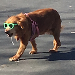 TacoFlinger.exe's Avatar'