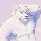 Rowan_Lion's Avatar'