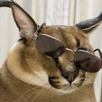 skibidididi420's Avatar'