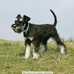 CallMeStimpy's Avatar